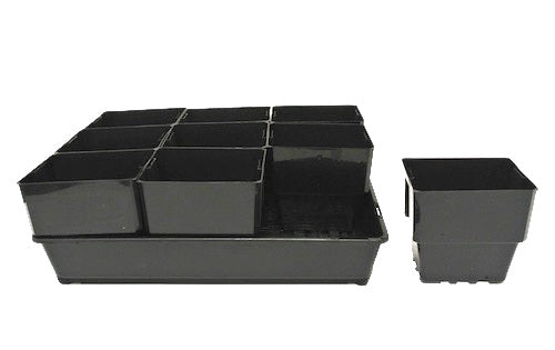 116mm Plastic Punnet Pots & Seedling Trays(Fine Hole Trays)  Set