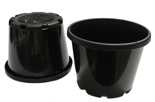 Poll Pots Skip to product information