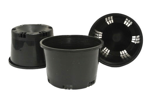 150mm Round Squat Pots