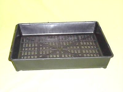 A Square Punnet / Tube Garden / Seedlings Pots 115mm - Propagation, Herbs - AusPots Permaculture