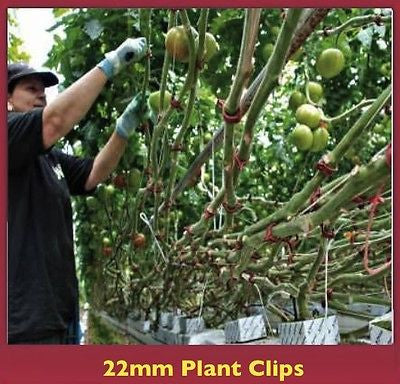 Garden Plant Clip 22mm - Reusable, Muti-purpose, for Beans, Tomato, Orchids - AusPots Permaculture