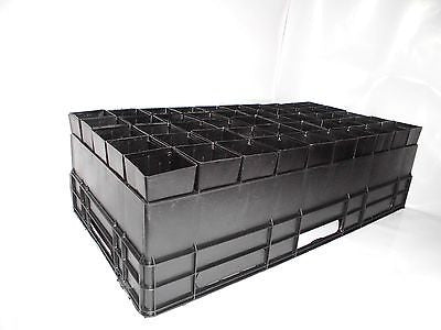 Plastic Forestry Plant Tube Pot Square 50mm x 50pcs with Air Pruning High Tray - AusPots Permaculture