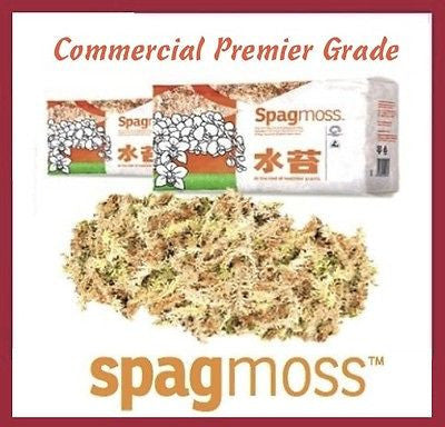 Sphagnum Moss Premier Grade - 100% NZ for Phalaenopsis / Orchid / Reptile Beds - AusPots Permaculture