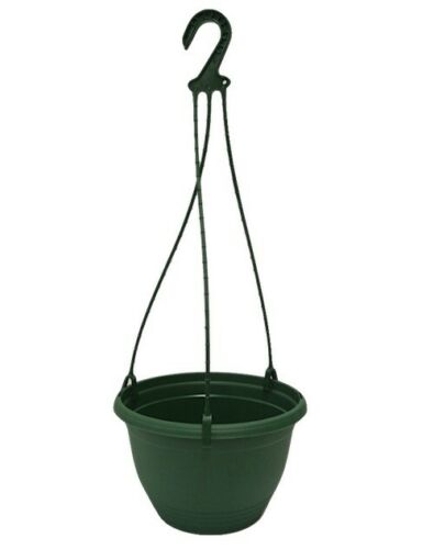 200mm Sauceless Hanging Basket Green - AusPots