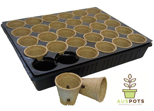30 Round Cell Seedling Tray Liner Kwikpot - AusPots