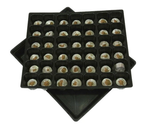35mm Jiffy-7 Coir Pellets & 42-cell Tray Liner & Seedling Tray Set- Propagation