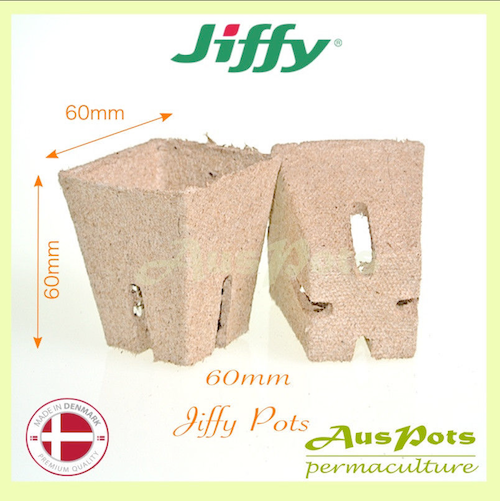 60mm Jiffy Square Pot - AusPots