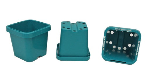 63mm Square Squat Pots (Aqua Colour) & Large Trays - AusPots