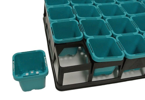 63mm Square Squat Pot ( Aqua Color) & 20cell Crate