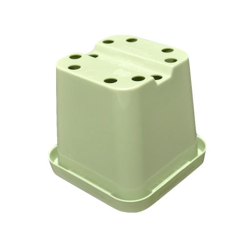 63mm Square Squat Pot - Green - AusPots