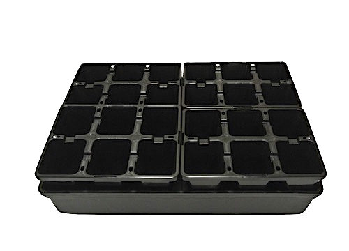 6 Cell  Punnet & Hydro Tray set