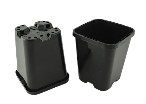 85mm x H100mm Square Punnet Plastic Plant Pots - AusPots