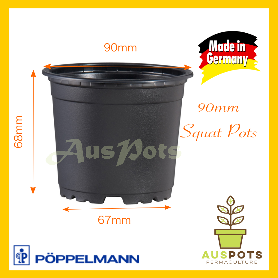90mm Black Plastic Garden Squat Pots by TEKU VCG - AusPots