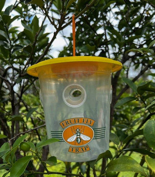 Fruit Fly Trap Pro & Wick set - Attracts male QLD fruit flies.