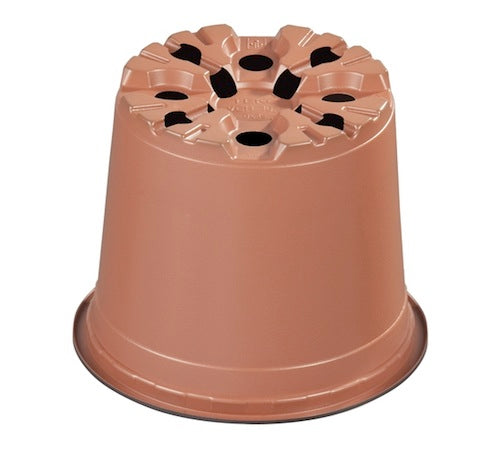 100mm TEKU Squat Pot - Terracotta VCG - AusPots