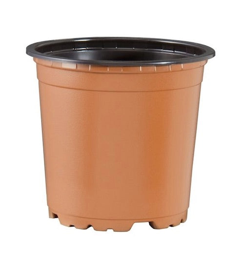 TEKU 150mm Plastic Garden Round Pots x 60pcs / VCH Terracotta Color