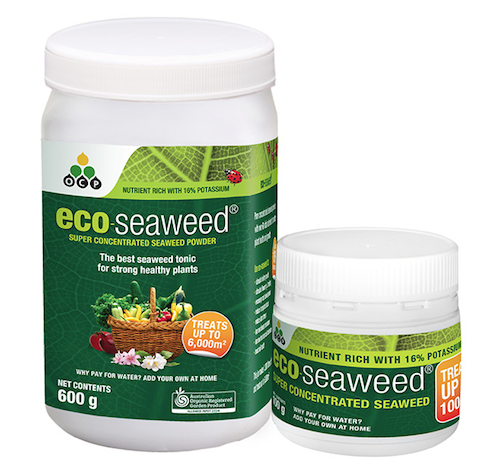 Eco-Seaweed - Soluble Seaweed Extract Powder - AusPots