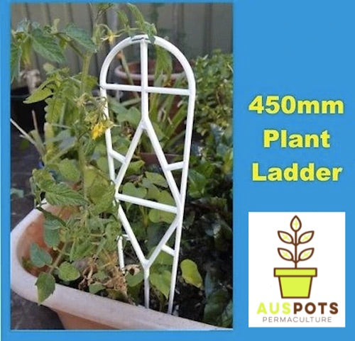 300mm Plastic Ladder - AusPots